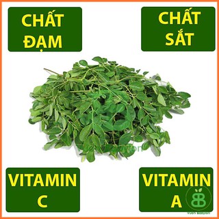 Hạt Giống Chùm Ngây 2G