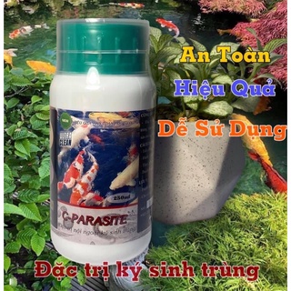 C parasite - trị trùng mỏ neo, rận nước, sán da, sán mang trên cá koi