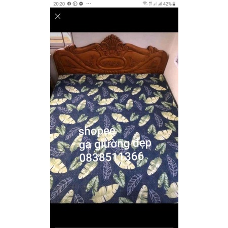 XẢ KHO Ga trần bông ga chải giường bo chun bọc đệm chắc chắn | BigBuy360 - bigbuy360.vn