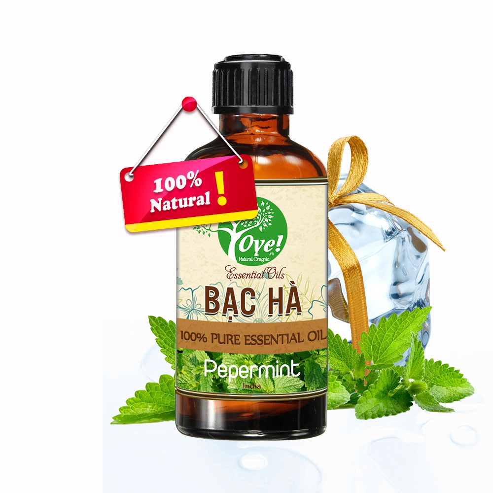 Tinh Dầu Bạc Hà 50ml