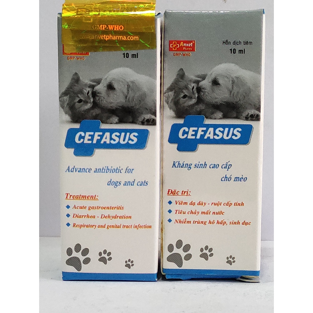 CEFASUS CHÓ MÈO 10ML phân loãng, nhầy, màu máu cá hoặc xám xanh, vàng, mùi tanh