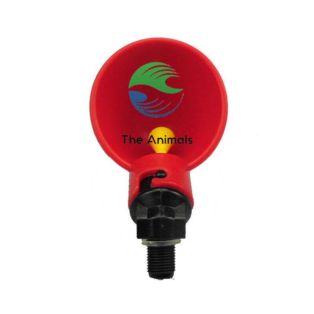 Máng uống tự động cho gà, vịt, ngan - Cốc uống nước tự động cho gà, vịt, ngan