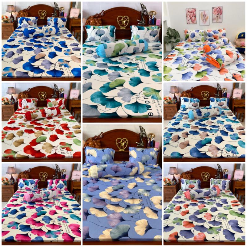 Bộ ga gối thun Hàn Quốc cánh hoa phối màu 4 món 1m2 1m4 1m6 1m8