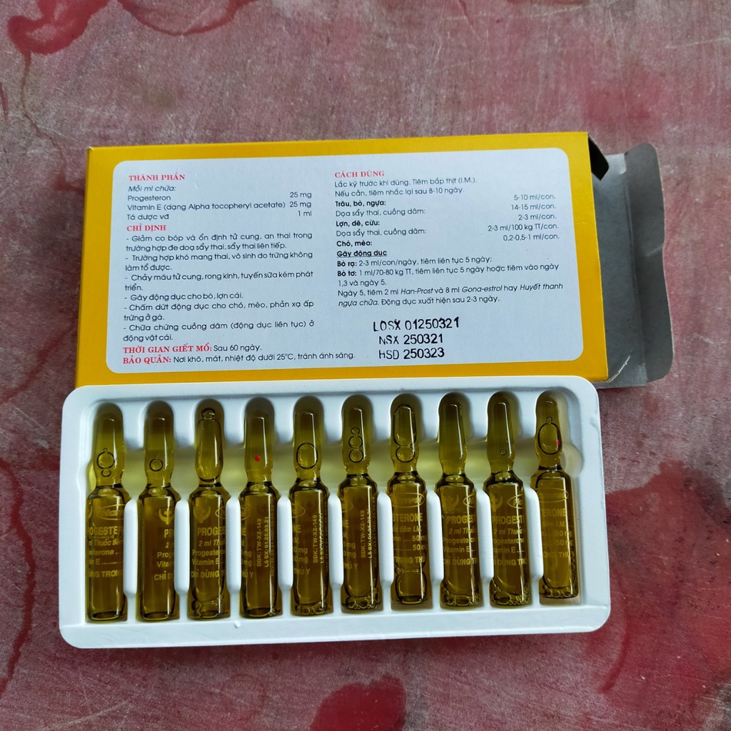 1 hộp Progesterone 2ml x 10 ống An th.ai cho v.ật n.uôi