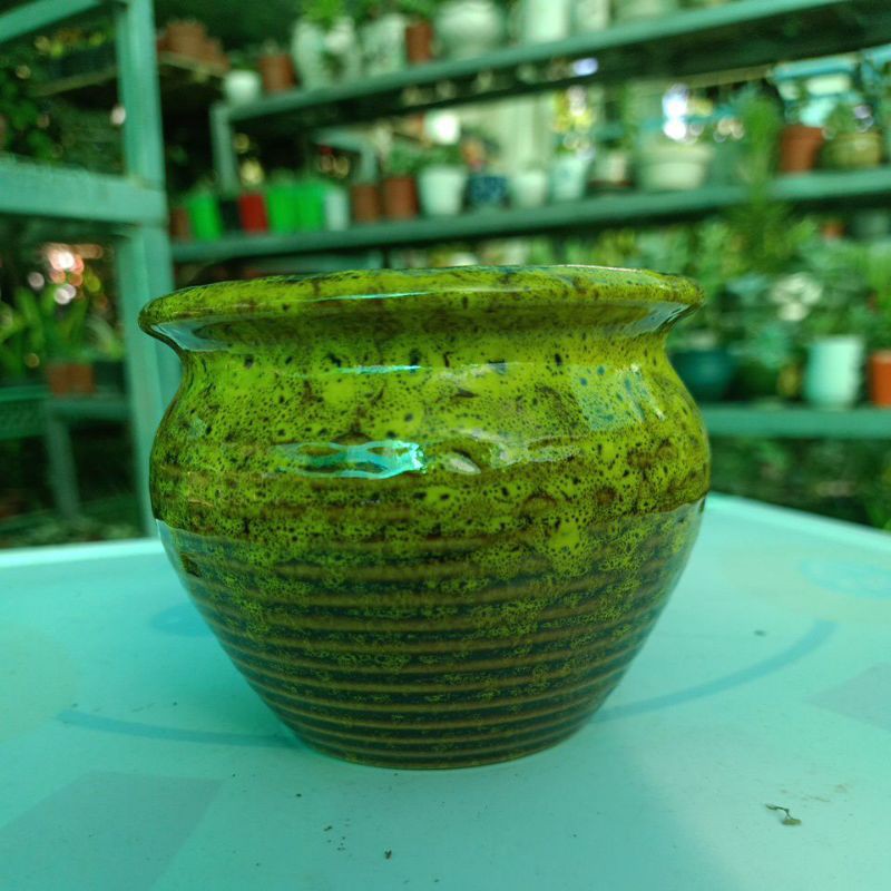 chậu mini gốm dáng lu