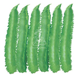 Hạt giống đậu rồng cao sản phú nông 103