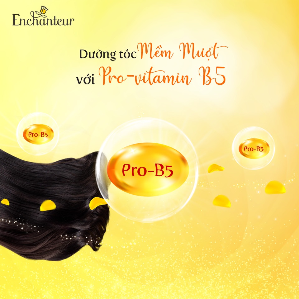 Dầu Gội Dầu Xả Enchanteur Hương Nước Hoa Dưỡng Tóc Bóng Mượt Dạng Sample 6g