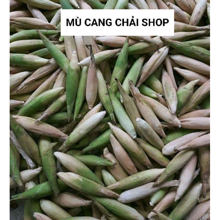 Hạt giống ngô, bắp nếp tím túi 90g