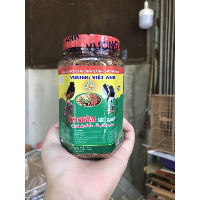 Cám Vương Việt Anh dành cho chim chích choè than choè lửa loại hộp