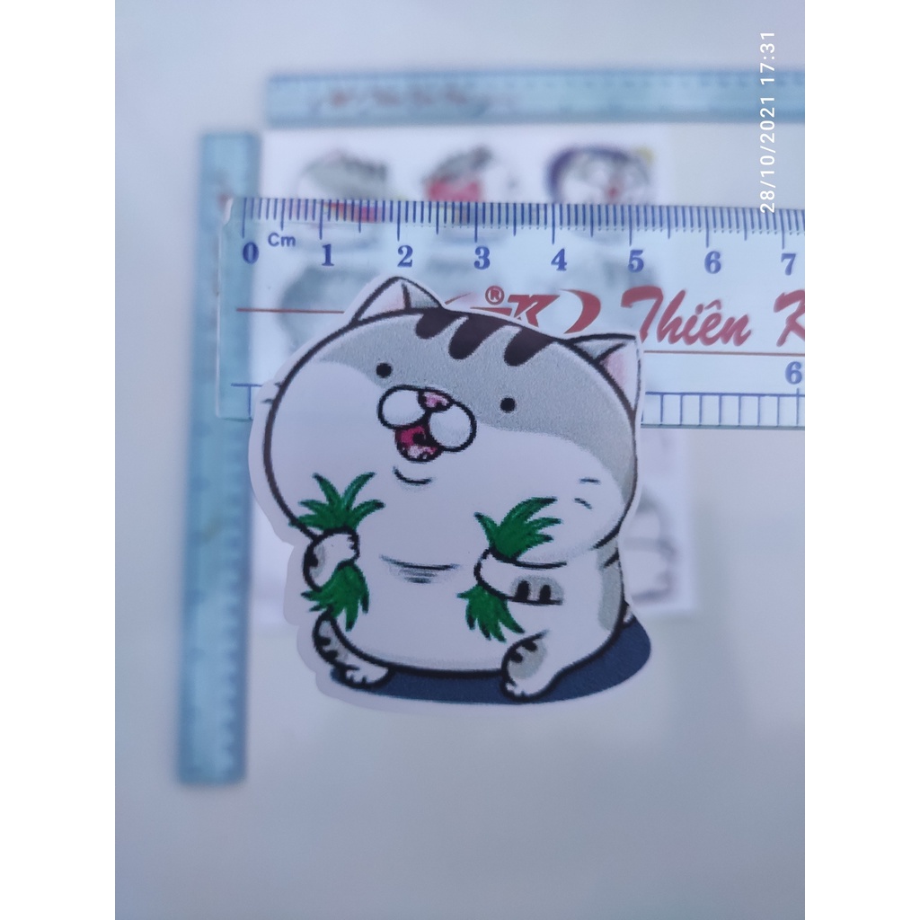 Hình dán, nhãn dán, sticker hình cute các thể loại...dán nón bảo hiểm, dán điện thoại, dán xe....