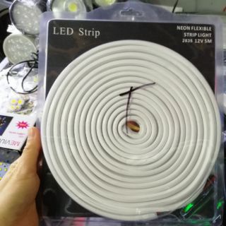 Led neon 12v 5m