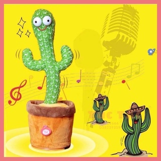 Đồ chơi xương rồng nhảy múa