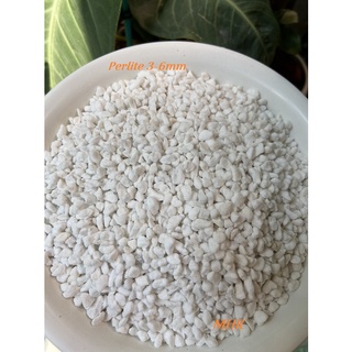 Đá Perlite nhiều cỡ : nhỏ (3-6mm) / to (6-12mm) - Đá Trân Châu ! Túi đong lẻ !