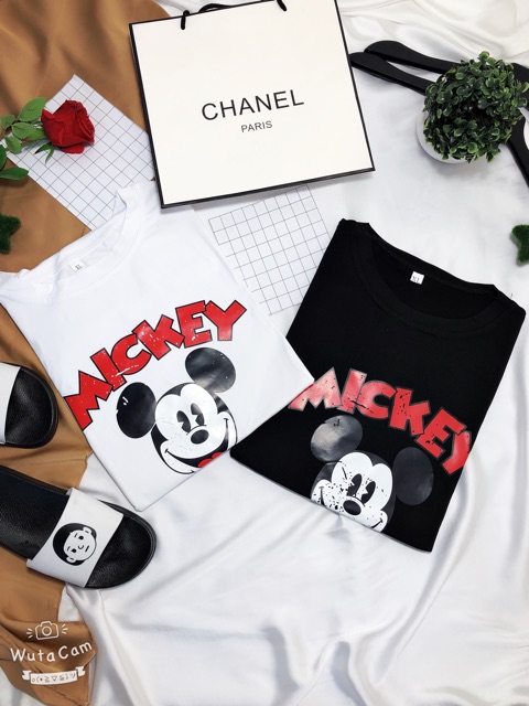 [57] [HÌNH THẬT] áo thun nữ ⚜️FREESHIP⚜️ Thun Nữ Hàng Unisex Phông Nữ Quảng Châu | BigBuy360 - bigbuy360.vn