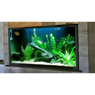 Đèn LED âm nước 6w