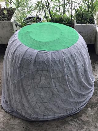 Áo trùm bội gà