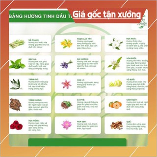Giá Xưởng Đèn Xông tinh dầu size trung TẶNG Tinh dầu 3 tháng + 2 bóng đèn thay - chính hãng Bát Tràng