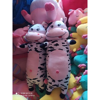 Bò Sữa Bông Nằm Bò Sữa Đứng