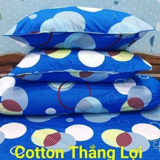 Drap cotton Thắng Lợi