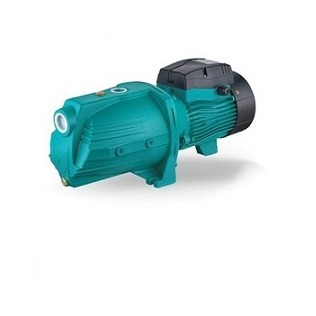 Bơm đầu lợn Lepono AJm 75 (XJWm-10M)