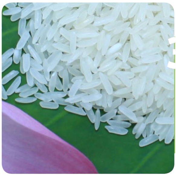 Gạo Nàng Hoa Túi 5kg