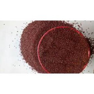 Hạt đình lịch/ hạt ngũ hoa 100gr