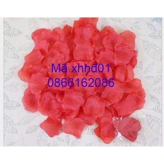 Combo 100 cánh hoa hồng vải lụa
