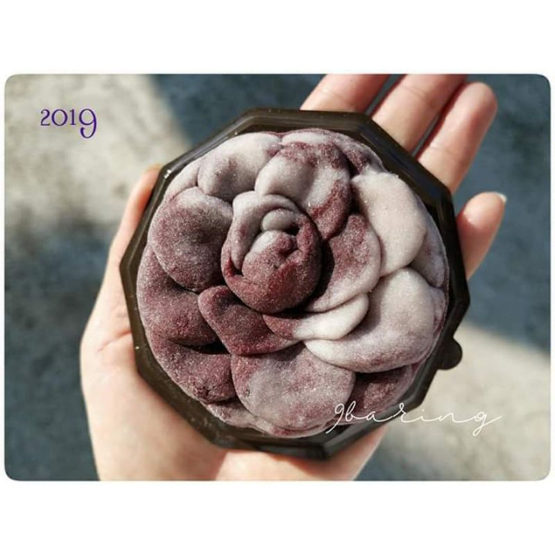 Khuôn trung thu 2019 dạng ghép size 150g