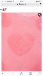 Áo nỉ lông mềm trái tim H&M xuất