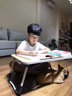 Bàn học,bàn laptop
