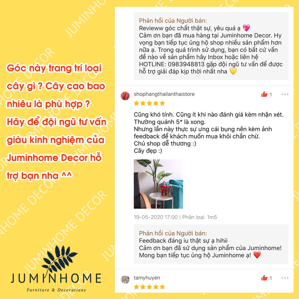 Cây trầu bà giả, monstera, cây lá rùa, trầu bà lá xẻ - Cây giả decor trang trí nhà cửa nội thất phòng khách phòng ngủ