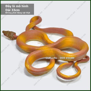 Mô Hình Rắn Trăn Boa - 7669.9