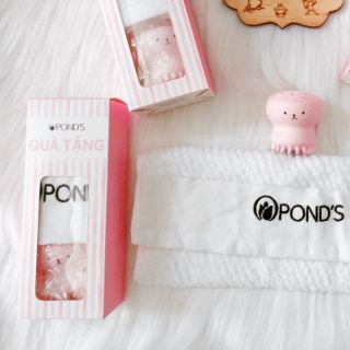 (Quà Tặng) Bộ Cọ Rữa Mặt Bạch Tuột + 1 khăn pond