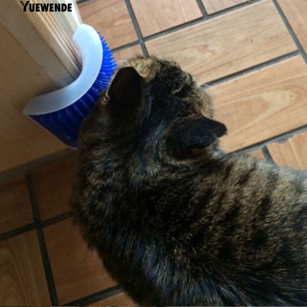 Lược gắn tường mát xa cho mèo