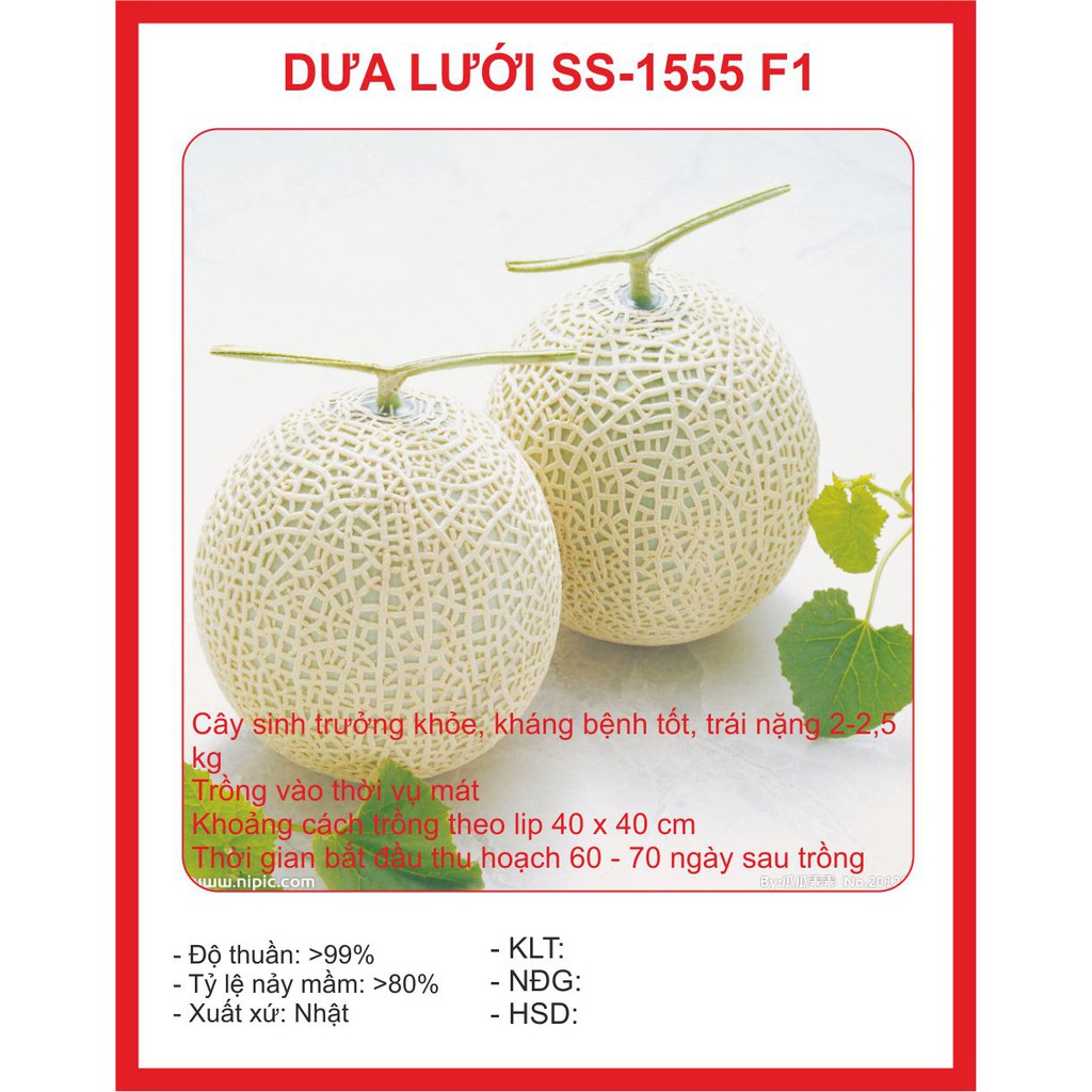 Hạt Giống Dưa Lưới Ruột Vàng - 10 hạt