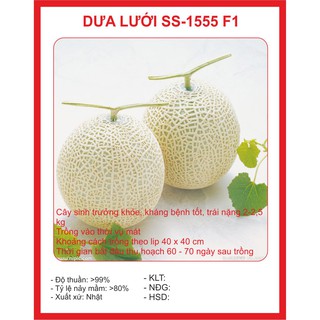 Hạt Giống Dưa Lưới Ruột Vàng - 10 hạt