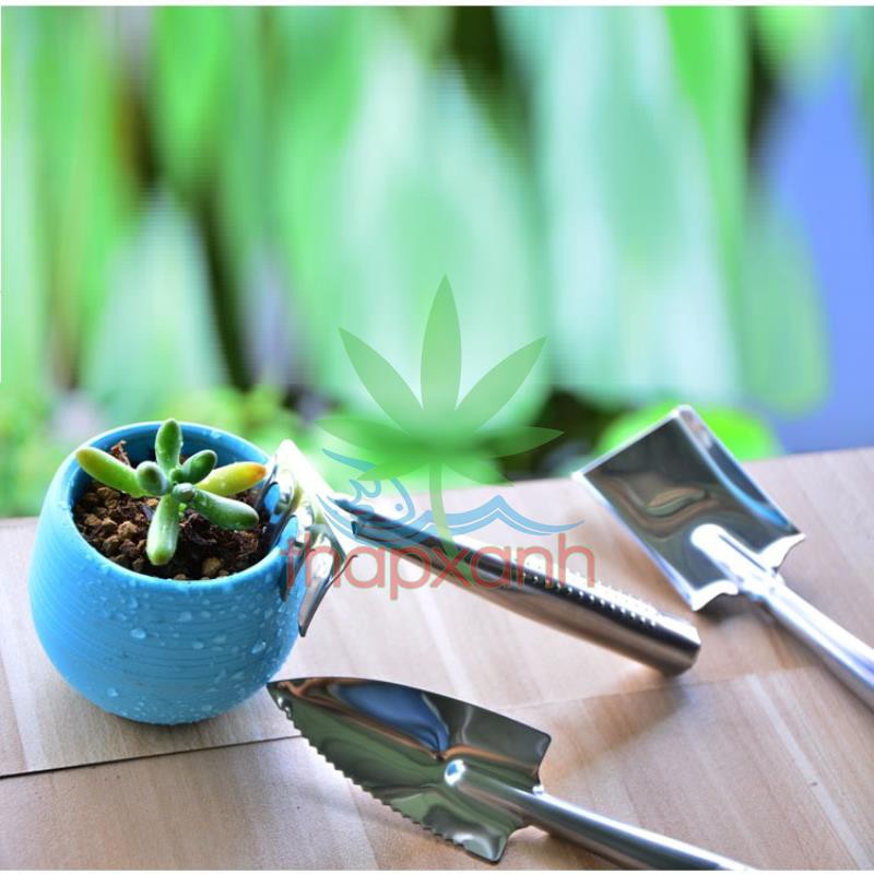 Combo 10 Bộ dụng cụ làm vườn 3 món (thép trắng)