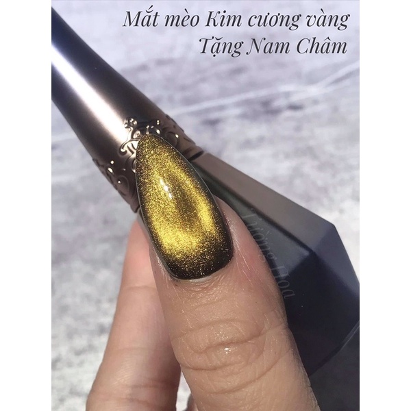 Gel Mắt Mèo Kim Cương TẶNG NAM CHÂM