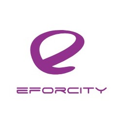 eforcity1.vn