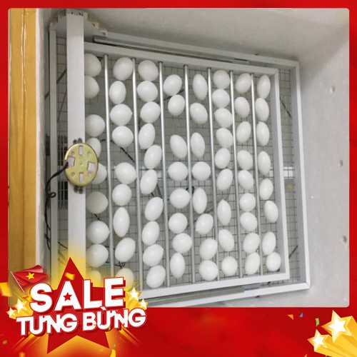 Máy Ấp Trứng Tự Động Trứng Bồ Câu-chim trĩ-chim công 80-100 trứng