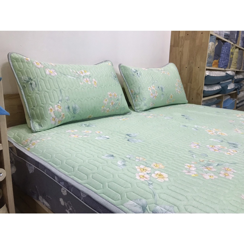 Chiếu Cao Su Non Mặt Vải Modal Gỗ Sồi Nekio Nhật Bản