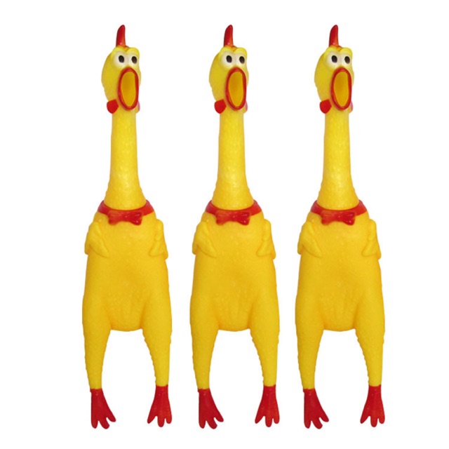 Gà tây shrilling chicken cao 37 cm