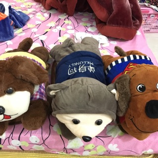 túi sưởi kute sưởi tay