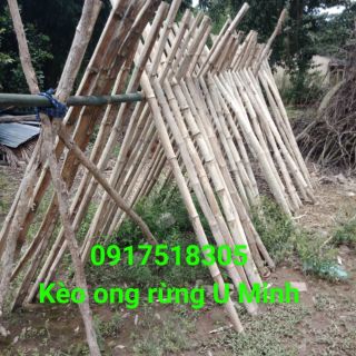 Mật ong rừng U Minh