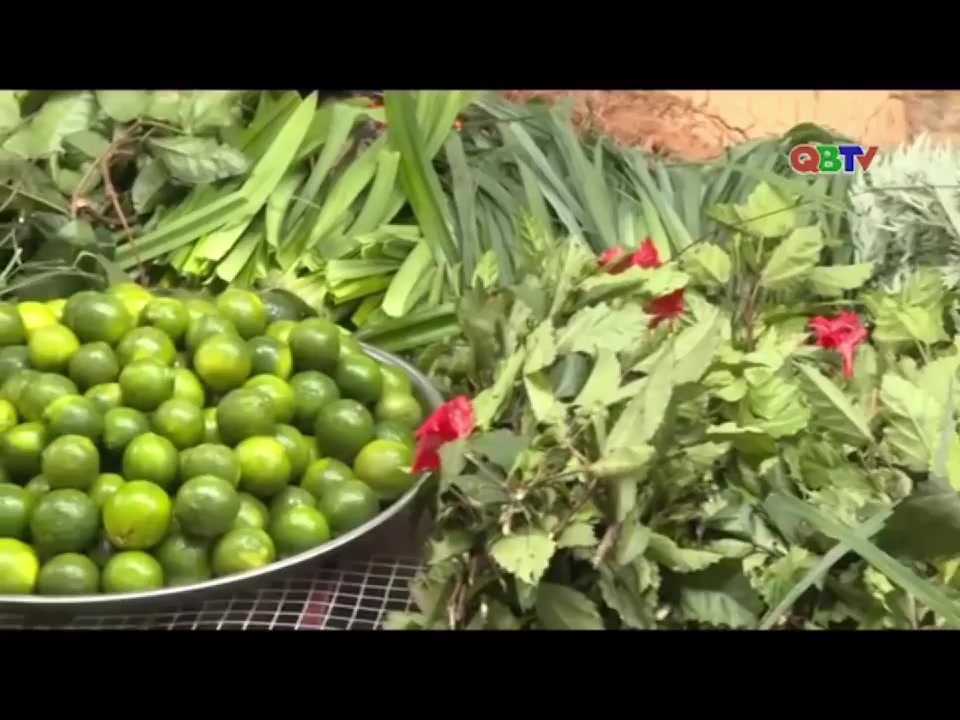 Combo Trải Nghiệm Dùng Sản Phẩm Thiên Nhiên | HTX Ánh Minh | Linhducon | 17 | BigBuy360 - bigbuy360.vn