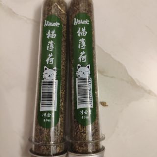 Cỏ mèo bạc hà