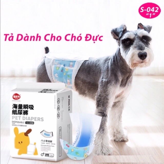 TẢ - BỈM CHÓ ĐỰC