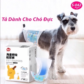 Tả - bỉm chó đực