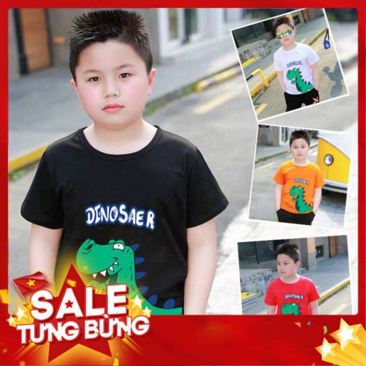 Áo Thun Trẻ Em, Áo Phông Bé Trai Size Đại từ 10 Đến 46Kg 100% Cotton - BBSKHUNGLONG