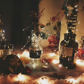 [KHO SI SIÊU RẺ] Dây đèn Fairy Light 5 mét (cắm điện)